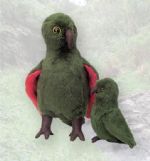 Kea