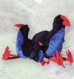 Pukeko