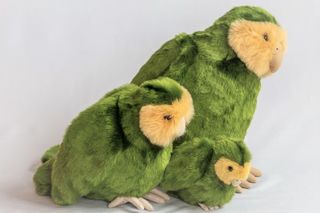 Kakapo