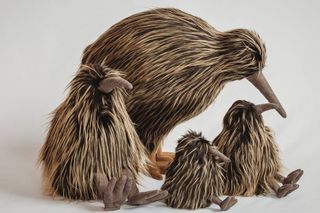 Plush Kiwi