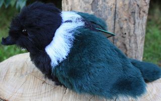 Tui
